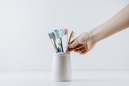Close-up of toothbrushes in a holder